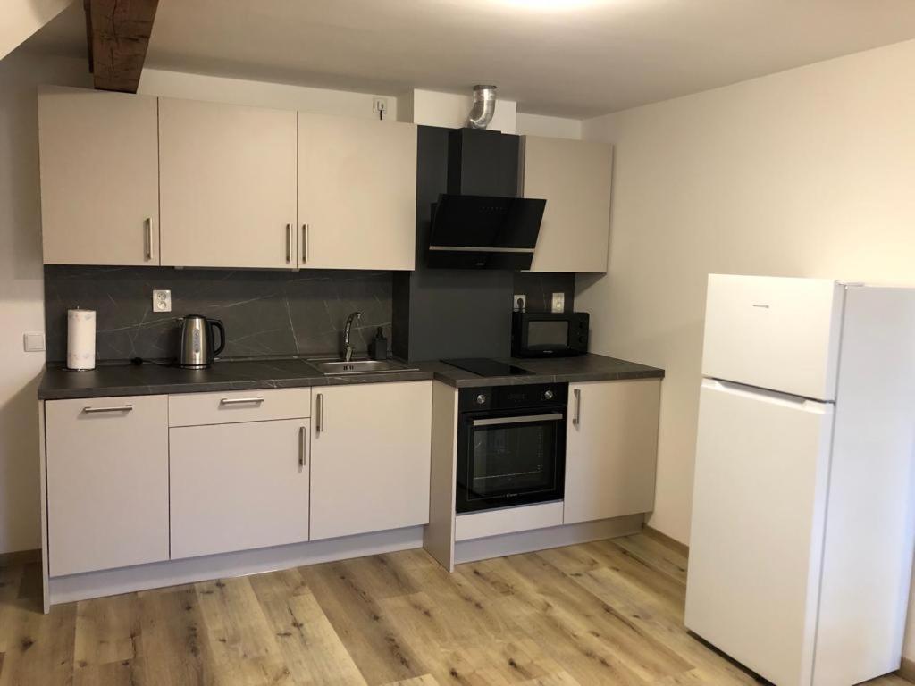Apartmany Rudnik Bolkov Eksteriør billede