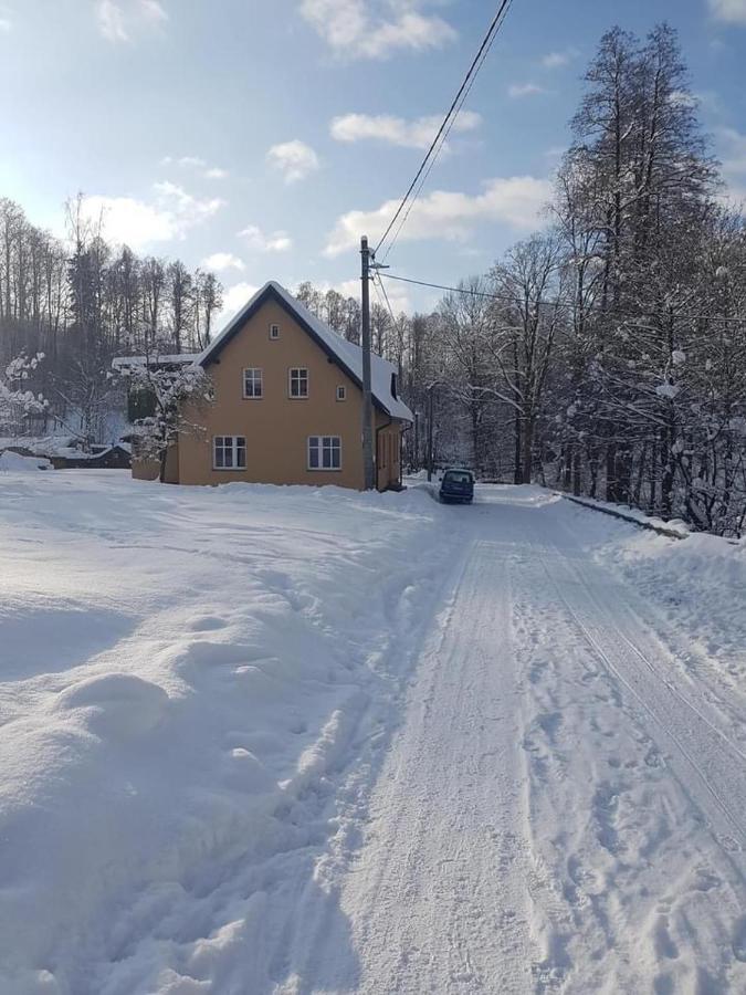 Apartmany Rudnik Bolkov Eksteriør billede